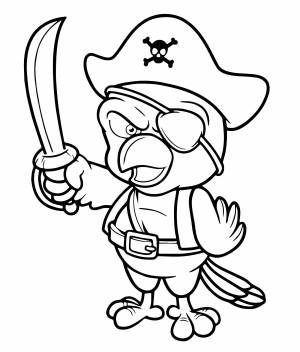 Попугай пират