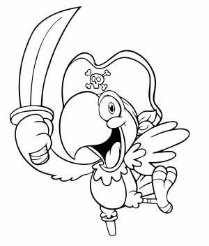 Попугайчик в виде пирата