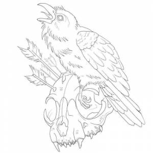Раскраска ворон на черепе