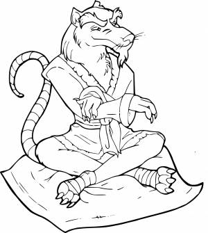 Раскраски Учитель сплинтер