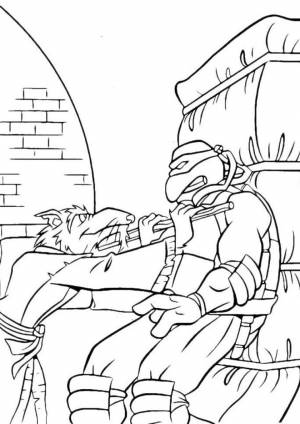 Раскраска Сплинтер тренирует подопечных