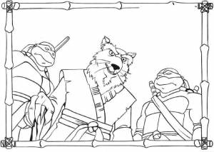 Раскраски Сплинтер