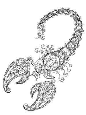 Раскраски Скорпион Антистресс   в формате