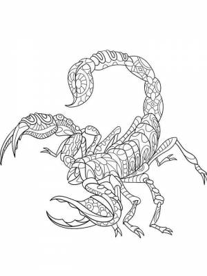 Раскраски Скорпион Антистресс   в формате