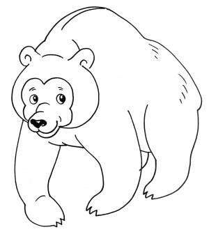 Раскраска Мишка косолапый