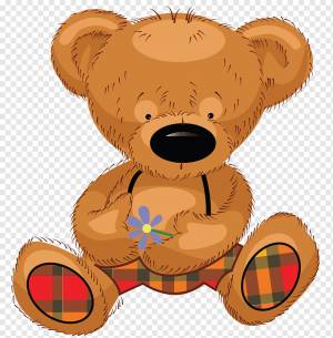 Рисунок плюшевого мишки, медведи чикаго, ребенок, животные, карнавал png