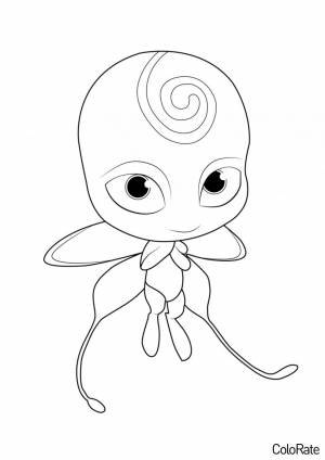 Раскраска Квами Нууру