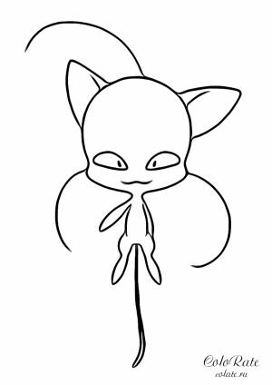 Раскраска Квами кота Нуара