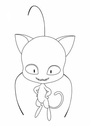 Раскраски кот нуар квами