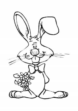 Раскраски супер заяц