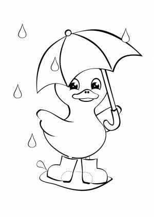 Раскраска Утенок под дождем