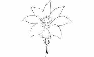 Раскраска цветик семицветик