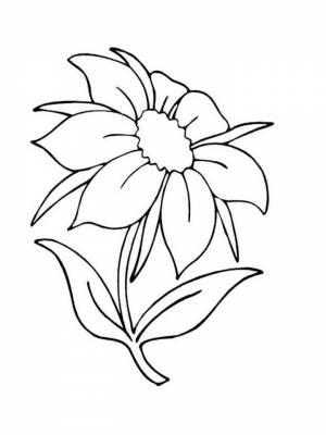 Раскраски Цветик-семицветик   в формате