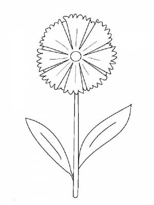 Раскраски Цветик-семицветик   в формате