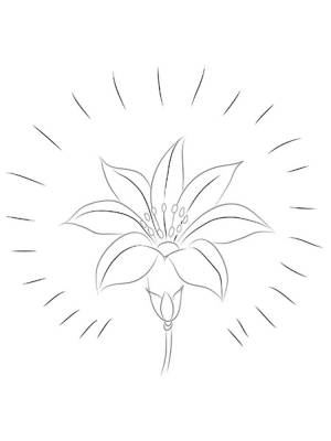 Раскраски Цветик-семицветик