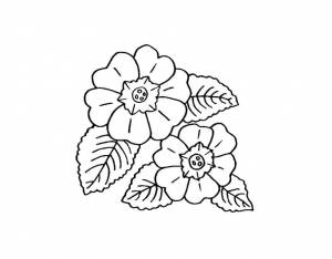 Раскраска Цветик семицветик