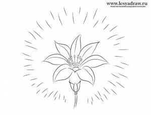 Раскраска цветик семецветик