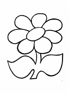 Рисунки Цветик семицветик карандашом