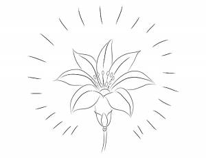 Раскраска цветик семицветик