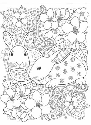 Раскраски «Животные»