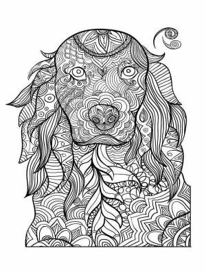 Раскраски Антистресс арт терапия