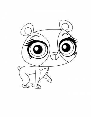 Раскраска Мой маленький зоопарк