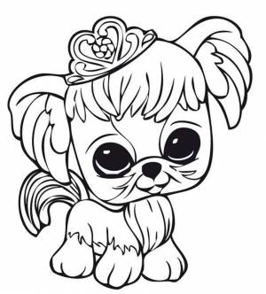 Раскраски литл пет шоп