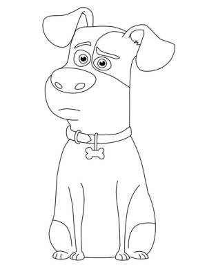 Распечатать детские раскраски с Тайной жизнью домашних животных для творчества
