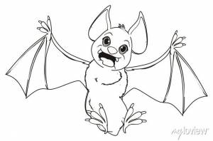 Летучая мышь, животное, крылья, дракула, когти, клыки, кровь, фотообои