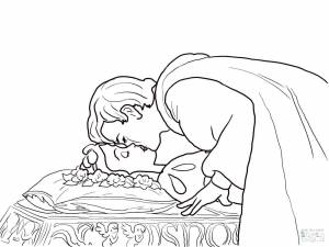 Спящая красавица шарль перро раскраска