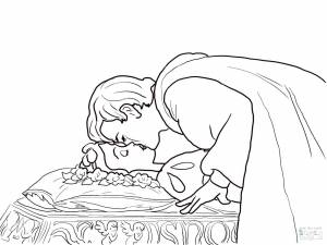 Легкий рисунок спящая царевна