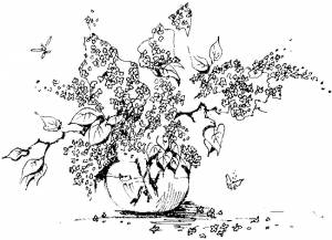 Раскраска Сирень