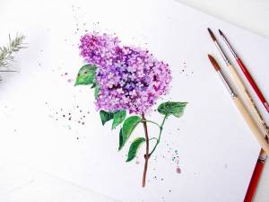 Как нарисовать сирень акварелью