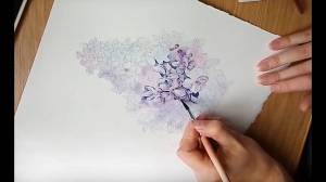 Сирень акварелью