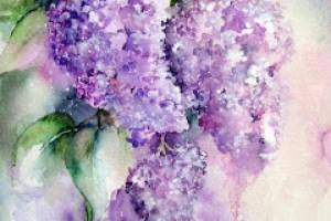 Как рисовать сирень акварелью поэтапно