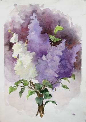 Сирень рисунок акварелью