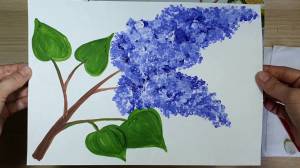 Рисуем с детьми сирень ватными палочками и гуашью