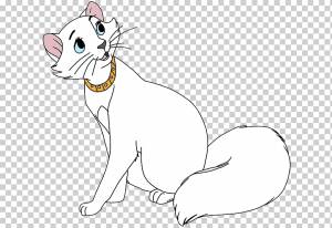 Котенок усы домашняя короткошерстная кошка герцогиня, аристократы мари, белый, млекопитающее, лицо png