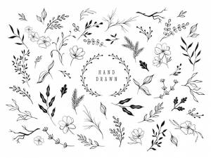 Ручной рисунок цветочных орнаментов декоративный цветочный лист и ветка для оформления свадебного приглашения набор векторных элементов природы