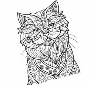 Раскраска антистресс кошка с интересной мордой