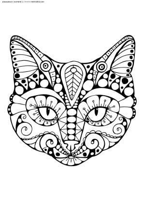 Раскраска Кот