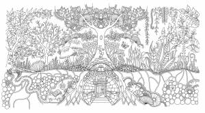 Раскраска волшебный лес