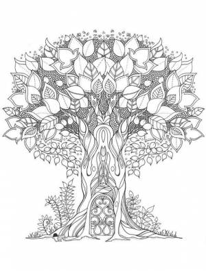 Раскраска Волшебный лес