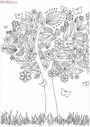 раскраски взрослые волшебный сад, зачарованный лес