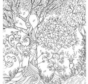 Раскраска Волшебный лес