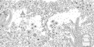 Раскраска анти стресс «Волшебный сад» и «Заколдованный лес» Джоанны Басфорд » Культура і мистецтво