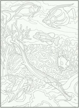 по номерам   рисунок