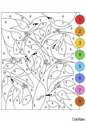 Раскраска Птицы по номерам