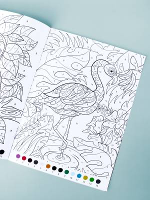 Раскраска антистресс по номерам Удивительный мир