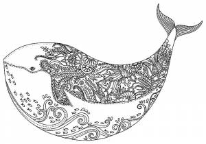 Антистресс кит